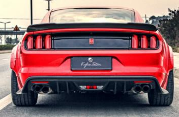 LIP SAU CARBON MUSTANG 2015 MẪU KYLIN TOTEM